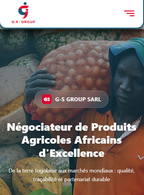 Aperçu du site GSGROUP SARL