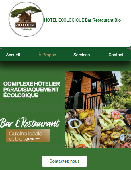 Aperçu du site ZioLodge
